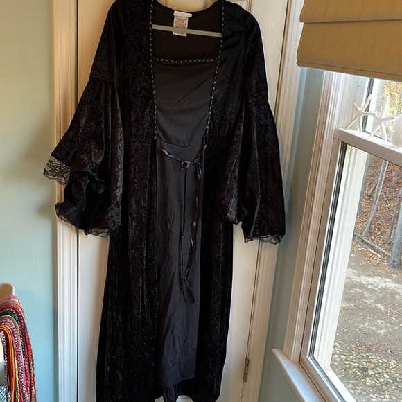 California Costume Black Angel of Darkness - Picture 1 of 9